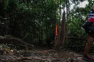 BIB: 
                            <button type="button" onclick="openModal(26010192)" class="btn btn-primary btn-sm float-right btn-popup" data-toggle="modal" data-target=".modal-high-quality">
                        <i class="fas fa-shopping-cart"></i> Add to Cart
                    </button>
                                            <button type="button" onclick="isThisMe(26010192, true)" class="btn btn-success btn-sm float-right btn-popup btn-isme hidden" data-toggle="tooltip" data-placement="bottom" title="นี่คือรูปของคุณใช่ไหม คลิกที่นี่เพื่อเอาเข้าอัลบั้ม">
                        <i class="fas fa-plus"></i> Add to album
                    </button>
                    <button type="button" onclick="isThisMe(26010192, false)" class="btn btn-warning btn-sm float-right btn-popup btn-isnotme hidden">
                        <i class="fas fa-ban"></i> Remove from album
                    </button>